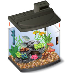 FishTank01 Salt Water Fish Tank