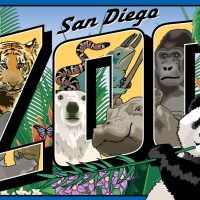 Technical Vector Illustration of Zoo Animals Post card