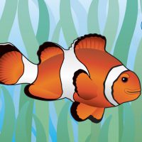 ClownFish