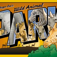 Technical Vector Illustration of Zoo Animals Post card