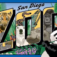 Technical Vector Illustration of Zoo Animals Post card