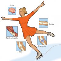 med_skater med_skater